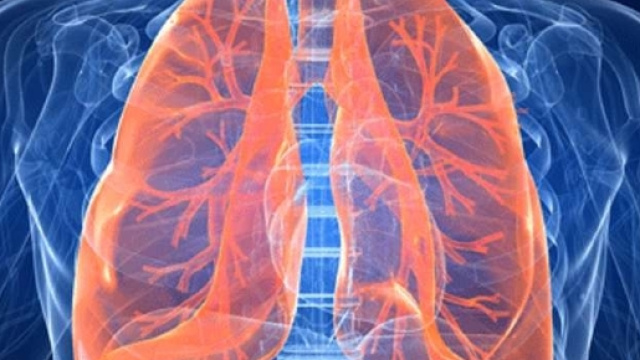 Vivere 6 giorni senza polmoni, è possibile - Data Manager Online - datamanager.it