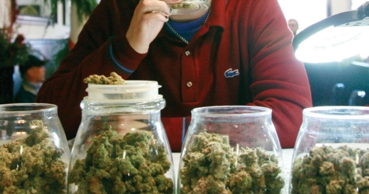 New spots opening up in Tampa for cannabis