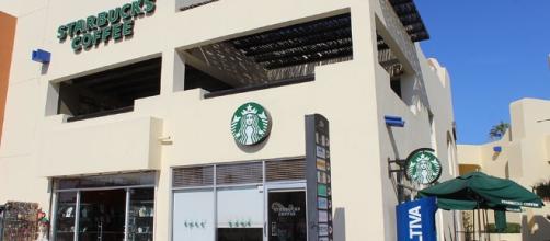 Starbucks, Coffee - Cabo San Lucas, Los Cabos, Mexico - loscabosguide.com