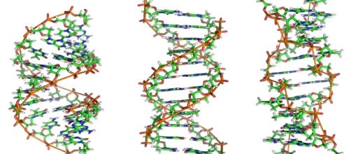 DNA, come influisce sui social