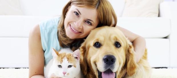 Deixe que os animais façam parte da sua rotina Deixe que os animais façam parte da sua rotina