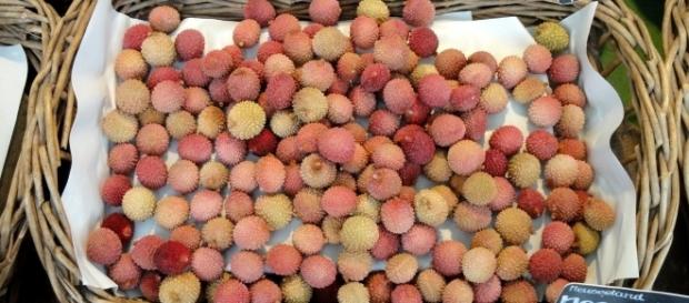 Lichia, uma fruta encontrada nas regiões mais quentes da Ásia Lichia, uma fruta encontrada nas regiões mais quentes da Ásia