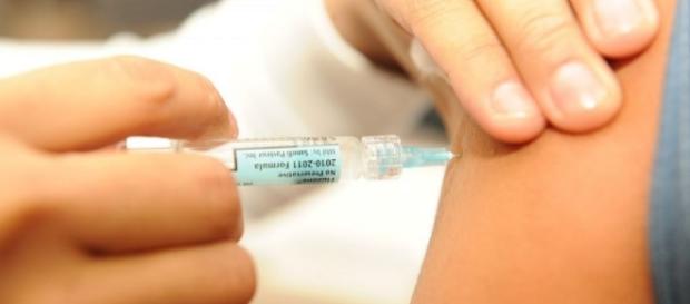Saiba quem deve se vacinar contra a febre amarela Saiba quem deve se vacinar contra a febre amarela