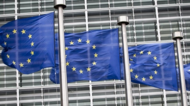 drapeaux Européens - démocratie - opinion