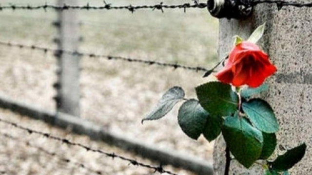 I Colori della Memoria - 6e20.it