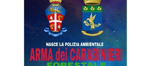 Accorpamento della Forestale nei Carabinieri - Pianeta Cobar