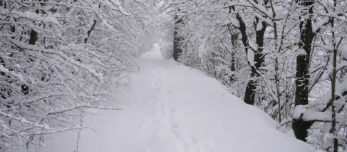 Meteo matto! Da metà novembre arriva il freddo? E da dicembre la ... - metronews.it