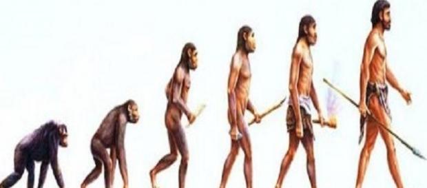 É possível descobrir os nossos antepassados mais distantes É possível descobrir os nossos antepassados mais distantes