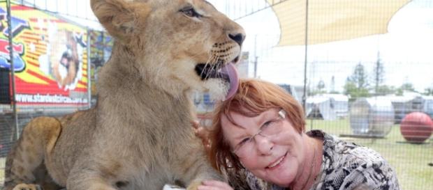 The Welsh Assembly plans to license wild animal shows visiting Wales. The Welsh Assembly plans to license wild animal shows visiting Wales.