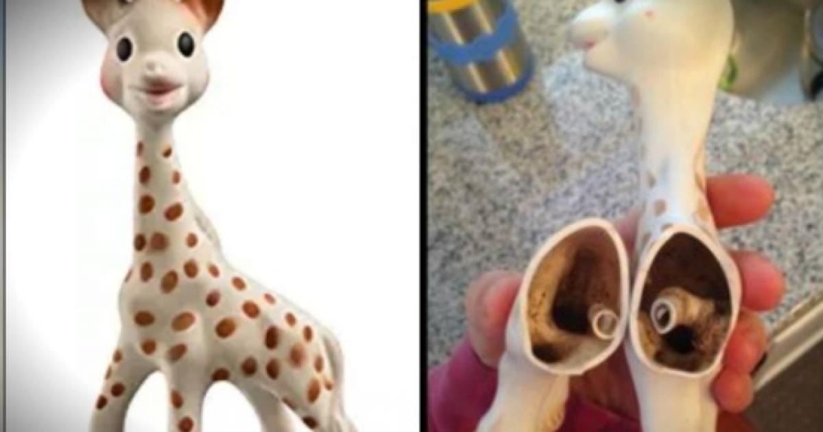 What parents need to know about mold in their kids’ toys