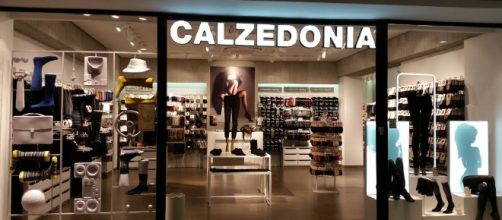 Calzedonia Group cerca nuove figure da inserire nei suoi punti vendita o presso la sede centrale