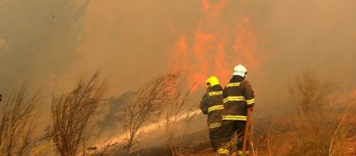 Chile recibe ayuda de otros países para luchar contra los incendios