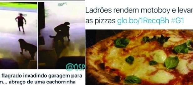 4 histórias de crimes hilário que você não vai acreditar 4 histórias de crimes hilário que você não vai acreditar