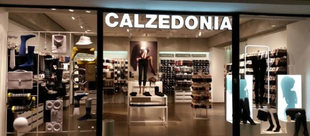 Calzedonia Group cerca nuove figure da inserire nei suoi punti vendita o presso la sede centrale Calzedonia Group cerca nuove figure da inserire nei suoi punti vendita o presso la sede centrale