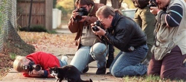 Animais são fotografados pelos seus donos e viram celebridades na web Animais são fotografados pelos seus donos e viram celebridades na web
