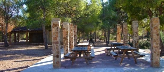 En la Comunidad Valenciana comienza el año con la programación de talleres y actividades En la Comunidad Valenciana comienza el año con la programación de talleres y actividades
