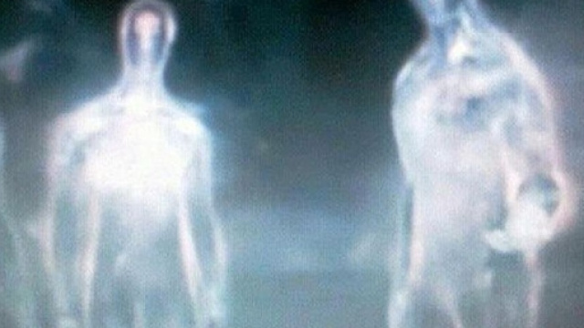 Les thèses interdites de l'origine extraterrestre de l'homme ... - elishean-portesdutemps.com