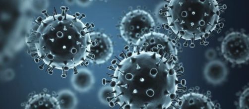 Influenza Virus Characteristics | LIVESTRONG.COM - livestrong.com