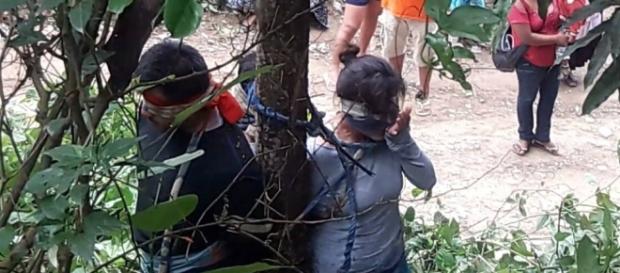 Boliviana e seus filhos são amarrados em árvore e sofrem ataque de formigas venenosas Boliviana e seus filhos são amarrados em árvore e sofrem ataque de formigas venenosas
