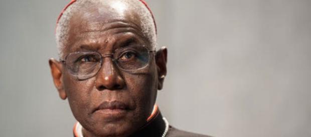 Cardinal Sarah: Le Cardinal réclame le silence. De la parole libérée ? - lifesitenews.com Cardinal Sarah: Le Cardinal réclame le silence. De la parole libérée ? - lifesitenews.com