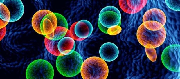 Demonstração de como os nanodiscos agiriam dentro do organismo humano Demonstração de como os nanodiscos agiriam dentro do organismo humano