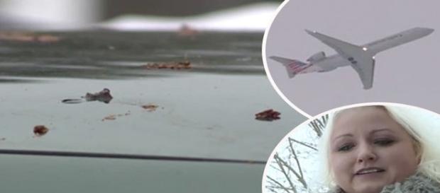 Inicialmente, ela pensou que fosse excremento de aves. Clique na imagem para ver a foto completa (NBC) Inicialmente, ela pensou que fosse excremento de aves. Clique na imagem para ver a foto completa (NBC)