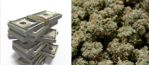 Debt-based financing in cannabis industry - Marijuana Venture - marijuanaventure.com