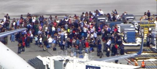 At Least 5 Dead in Shooting at Fort Lauderdale Airport; Suspect in ... - go.com