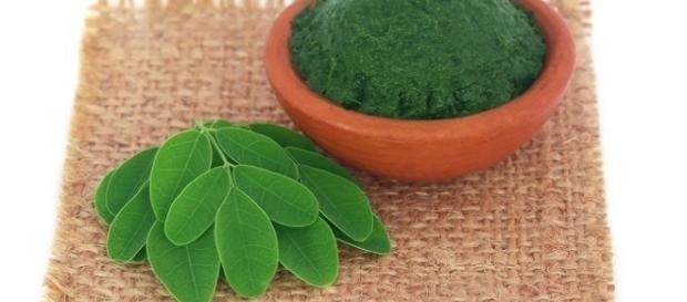De acordo com especialistas, a moringa é uma fonte de vitaminas e sais minerais. De acordo com especialistas, a moringa é uma fonte de vitaminas e sais minerais.