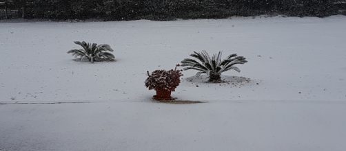 Salento completamente innevato.