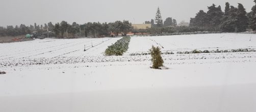 Una foto del Salento innevato.