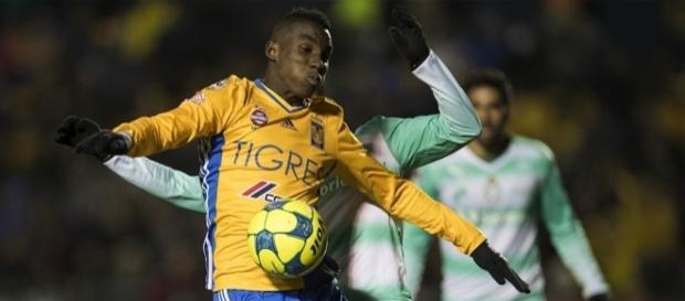 Frío debut del campeón Tigres en el Clausura 2017 | INFO7 - info7.mx Frío debut del campeón Tigres en el Clausura 2017 | INFO7 - info7.mx