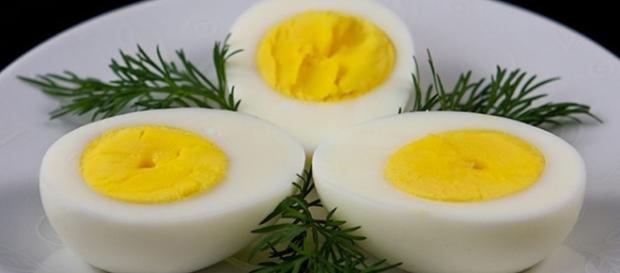 Ovo Cozido - Só Receitas Fáceis - soreceitasfaceis.com Ovo Cozido - Só Receitas Fáceis - soreceitasfaceis.com