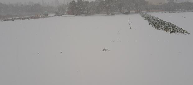 Un campo innevato in provincia di Lecce. Un campo innevato in provincia di Lecce.