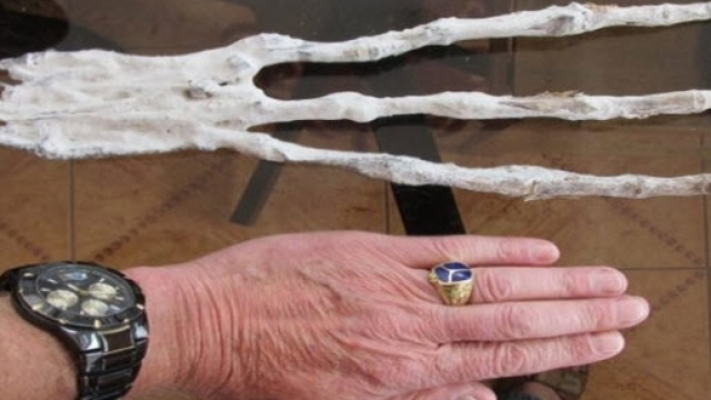 Resti di una presunta mano aliena