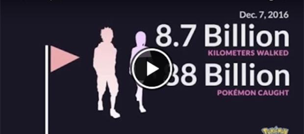 Dal lancio del gioco quanto hanno camminato gli allenatori? Quanti i Pokémon catturati? Dal lancio del gioco quanto hanno camminato gli allenatori? Quanti i Pokémon catturati?