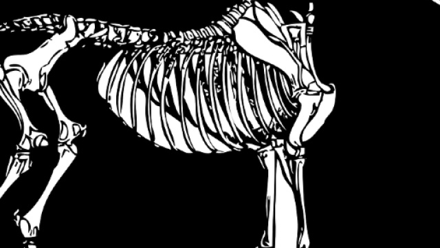 Motricit&eacute;, digestion et argile! Jamais on a fait si bien et si simple !