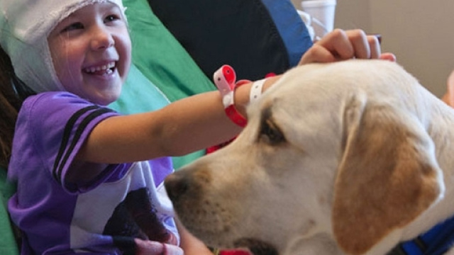 Un'altra grande vittoria, gli ospedali della Lombardia accettano i ... - pianetadonna.it