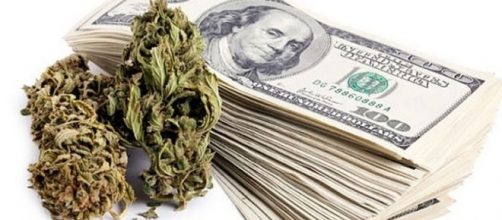 Business della marijuana in crescita esponenziale negli Usa