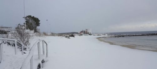 Una spiaggia a Porto Cesareo coperta di neve