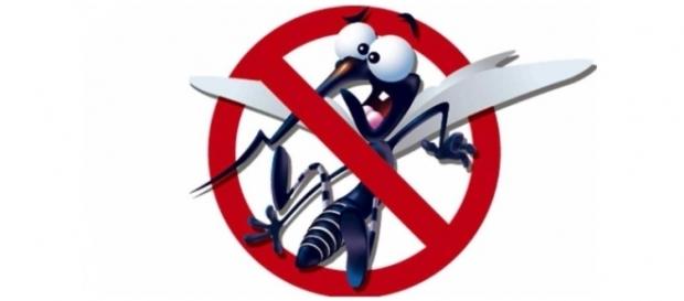 O combate ao mosquito é uma ação que precisa do apoio e fiscalização de toda comunidade O combate ao mosquito é uma ação que precisa do apoio e fiscalização de toda comunidade