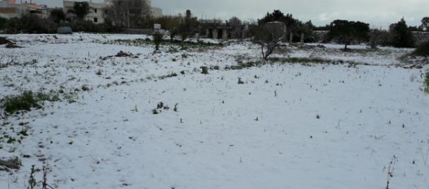 Tanta neve su tutto il Salento. Tanta neve su tutto il Salento.