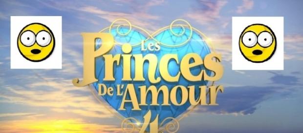 Une nouveauté de taille dans la saison 5 des Princes de l'Amour Une nouveauté de taille dans la saison 5 des Princes de l'Amour
