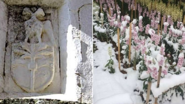 Lo stemma della famiglia Tafuri e la neve in Puglia a destra