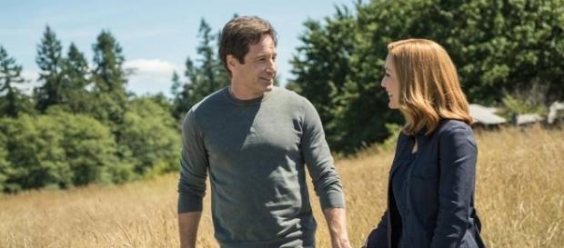 David Duchovny and Gillian Anderson star on FOX's 'The X-Files.' ~ (Image Credit: Thexfilesonfox/Facebook) David Duchovny and Gillian Anderson star on FOX's 'The X-Files.' ~ (Image Credit: Thexfilesonfox/Facebook)