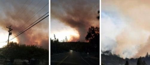 Lobo Fire pictures. Image credit - Louann Carroll (Own Work)