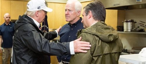 Ted Cruz and John Cornyn chat with President Trump [Image via White House wikimedia commons]