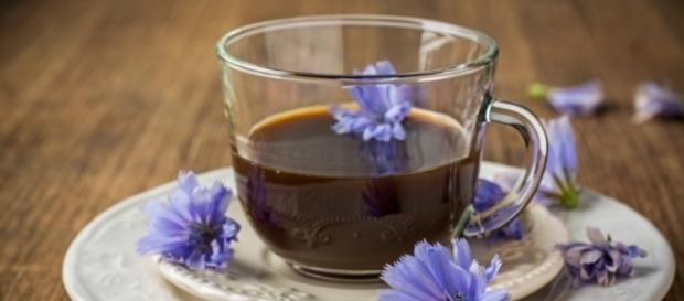 Achicoria, el café que no pone nervioso ni da insomnio Achicoria, el café que no pone nervioso ni da insomnio