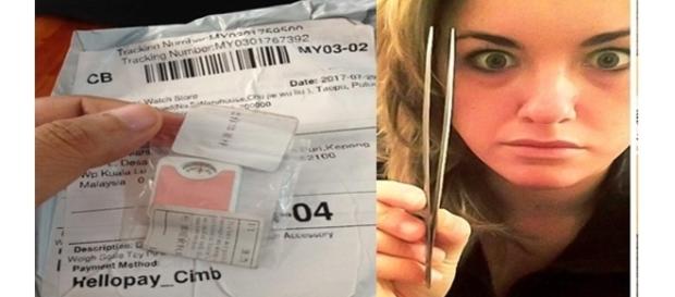 Nunca confie em tudo o que você vê na internet ( Fotos - Reprodução ) Nunca confie em tudo o que você vê na internet ( Fotos - Reprodução )