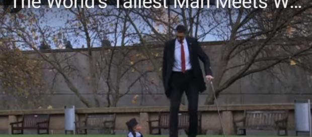 The World's Tallest Man Meets World's Smallest: 2015(image via Diagonal view/YouTube screencap) The World's Tallest Man Meets World's Smallest: 2015(image via Diagonal view/YouTube screencap)